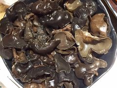 黑木耳-手选潮汕鲜活牛肉火锅(二七广场店)