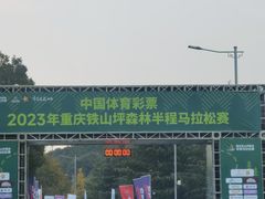 -铁山坪森林公园