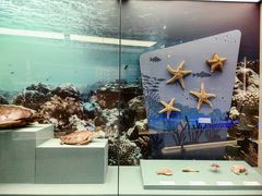 -上海中国航海博物馆