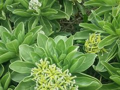 -龙坑生态保护区