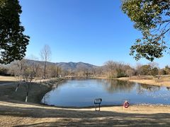 -雅达·阳羡溪山小镇中心