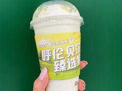 -茉酸奶(春熙路店)