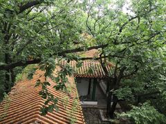 -萨尔浒风景区