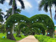 -东南花都花博园