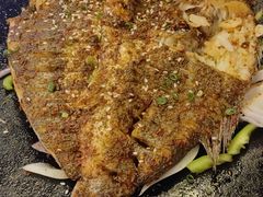 -福苗小骆驼烧烤(莲湖路店)