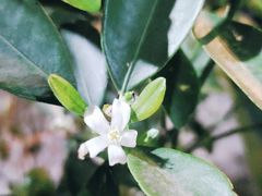 -湘邻呷铺·田园家宴(汉基广场店)