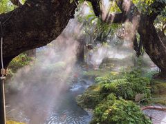 -Chom Cafe and Restaurant