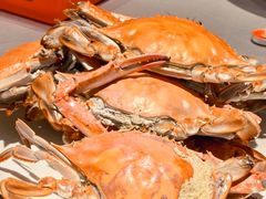 -渔民船说·北塘海鲜·天津菜·海肠捞饭(北塘古镇店)