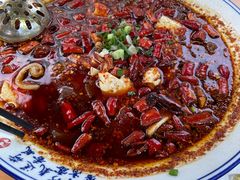 -青城甲(青城山店)