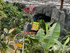 -南宫五洲植物乐园