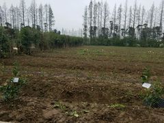 -前小桔亲子创意农场·草莓采摘·露营烧烤