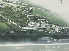 -永定河休闲森林公园