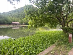 -八卦田遗址公园