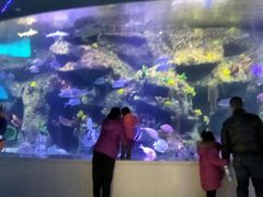 -沙沙哗啦海洋馆(华宇百花谷店)