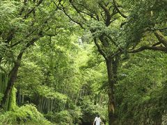 -五泄景区