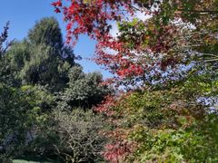 -古韵餐厅(湖畔大学店)