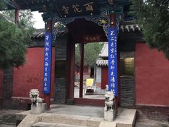 -晋祠公园