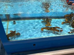 -麦德龙(浦东店)