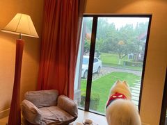 -太阳岛度假酒店