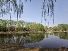 -东升八家郊野公园