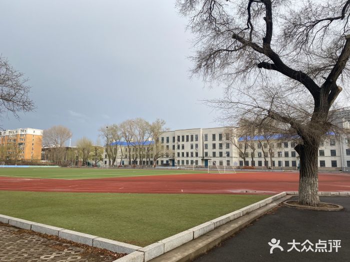齐齐哈尔市实验中学图片