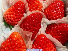 -柠季·手打柠檬茶(上海龙之梦店)