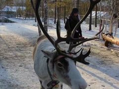 -北极村旅游风景区