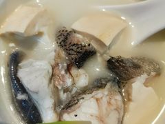 -宋小谨(惠安禹洲店)