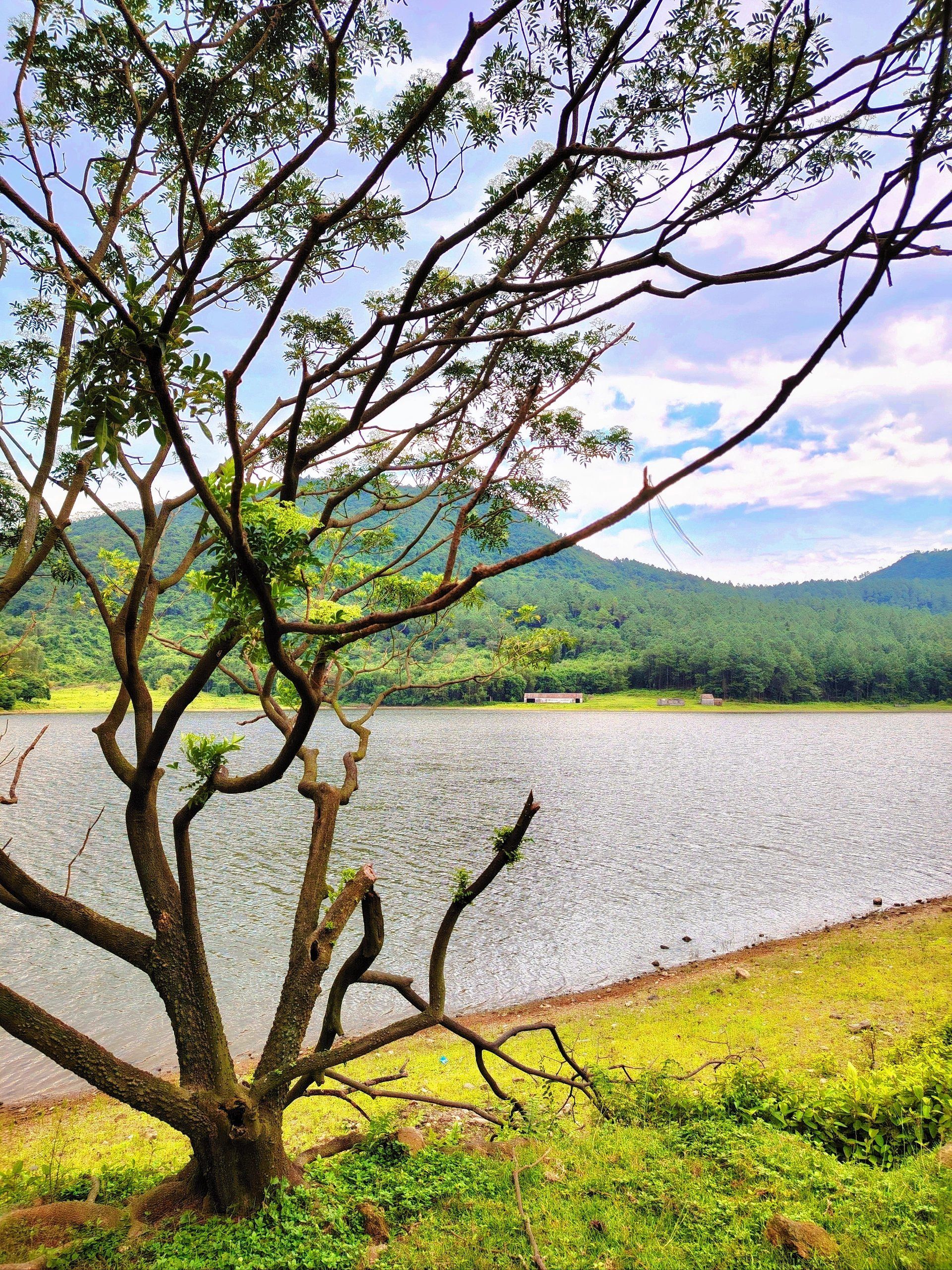 崎岖路途的白云石水库