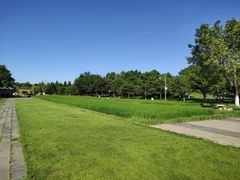 -北坞公园