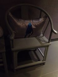 iphone_upload_pic-奈瑞儿美养院·身体调养·美颜