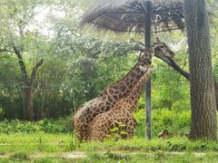 -北京野生动物园