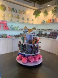 -恐龙探索乐园(磁器口店)