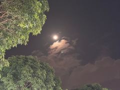-龙舟池