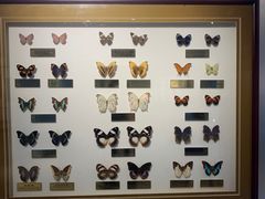 -上海昆虫博物馆