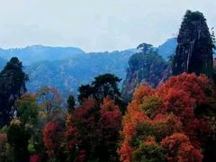 -水磨沟环境自然保护区