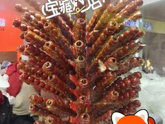 -和禄德冰糖葫芦(东四朝内菜市场店)