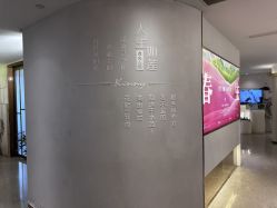 -金夫人美容