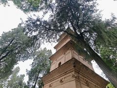 -兴教寺