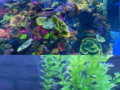 -成都浩海立方海洋公园