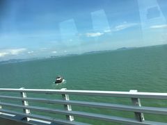 -龙城大药房
