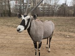 -大连森林动物园