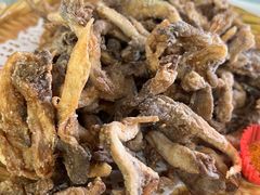 -大家乐东北菜(富河园店)