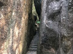 -清溪森林公园