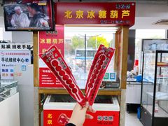 -和禄德冰糖葫芦