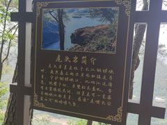 -铁山坪森林公园