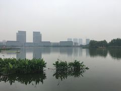 -尚贤河湿地