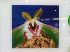 -上海昆虫博物馆