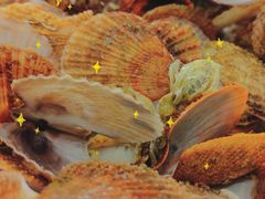 -双海酒店·海鲜家常菜(南戴河店)