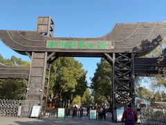 -溱湖国家湿地公园